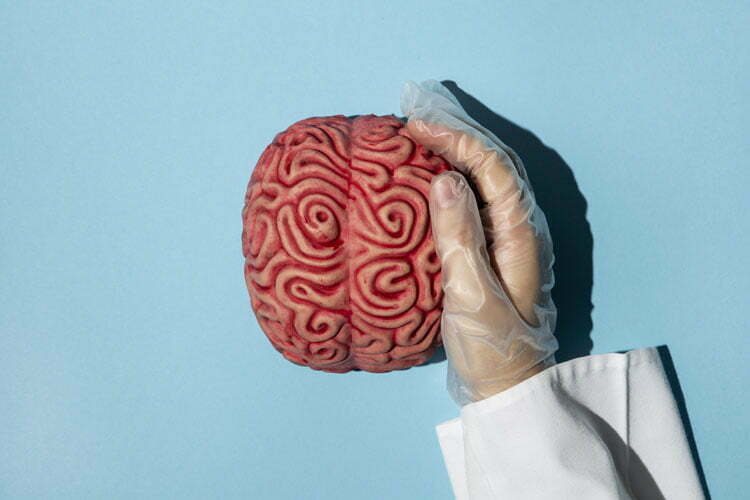 Brain Cancer