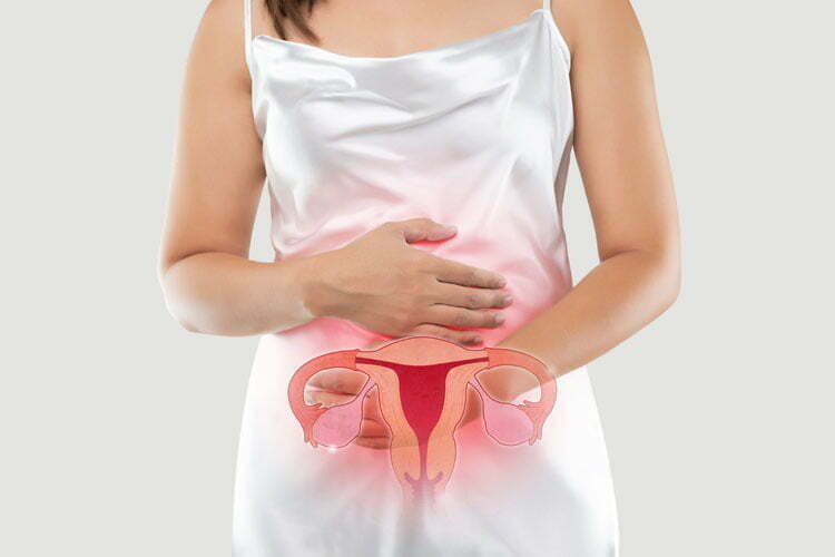 The photo of uterus is on the woman's body, isolate on white background, Female anatomy concept