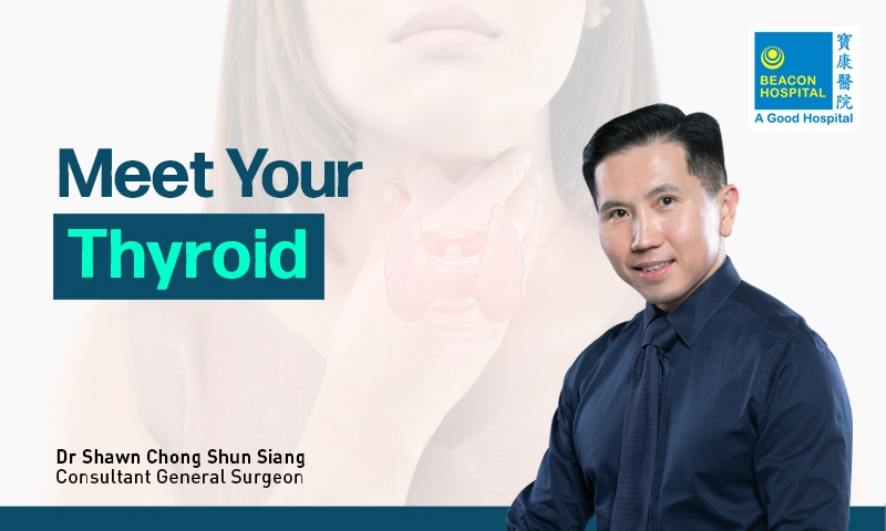 Meet Your Thyroid