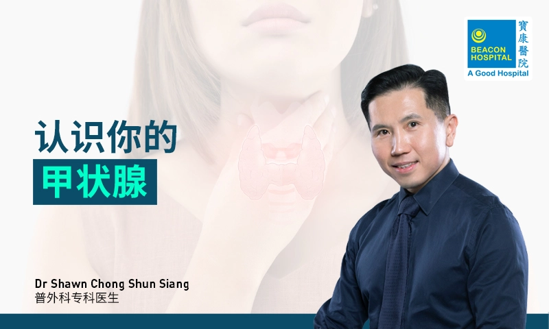 认识你的甲状腺