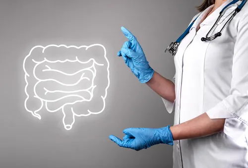 intestine